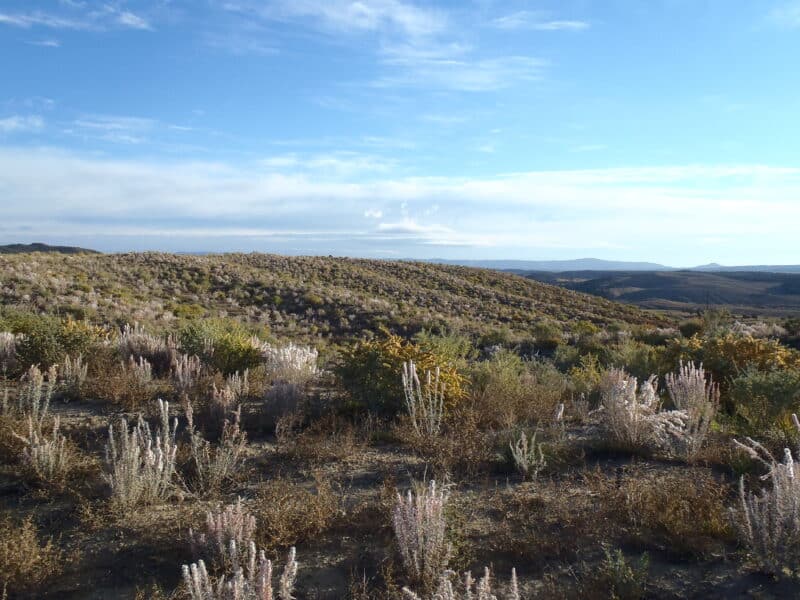 Beyond Aesthetics: The Misapplication and Promise of Geomorphic Reclamation Design